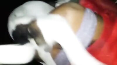 Hungry Street Dog Devours Curvy Trans Girls Boobs And Cock