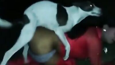Hungry Street Dog Devours Curvy Trans Girls Boobs And Cock