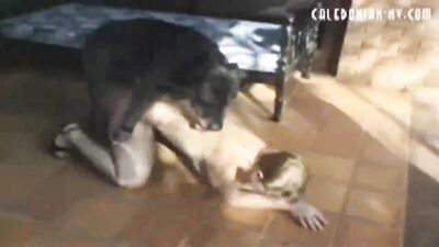 Back Yard Action dogsex