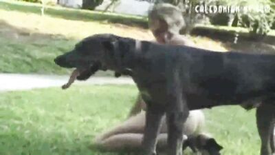 Back Yard Action dogsex