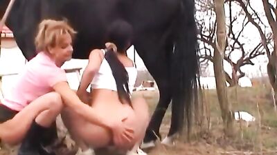 Barn Bang