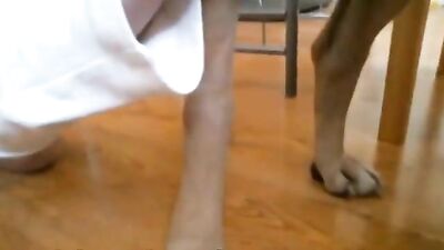 Drooling Teen Sucks Dogs Thick Load While Gangbang Continues