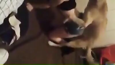 Horny Italian Humps Playful Pooch in Steamy Doggy Action
