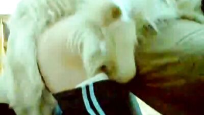 Forbidden Passion Ignites Between Piggy Russian Honey and Her Stud