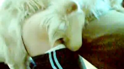 Forbidden Passion Ignites Between Piggy Russian Honey and Her Stud
