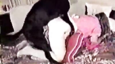 amateur dogsex movie
