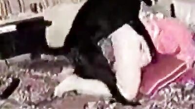 amateur dogsex movie