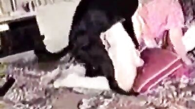 amateur dogsex movie