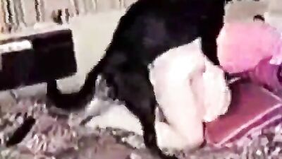 amateur dogsex movie