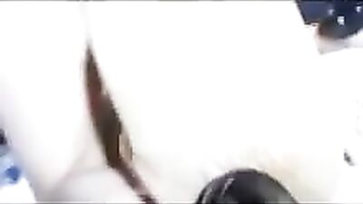 small very lucky dog