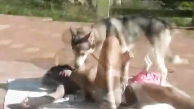 aline private dog 3