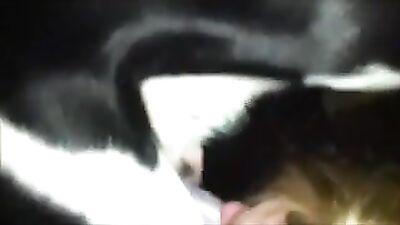 girl dog suck and swallow BestialityTaboo