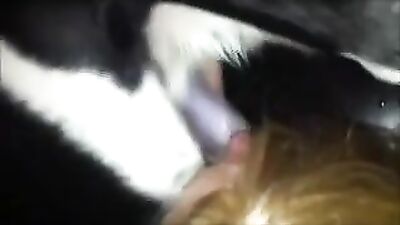 girl dog suck and swallow BestialityTaboo