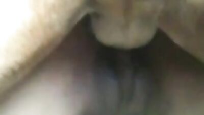 dog cock in teen pussy
