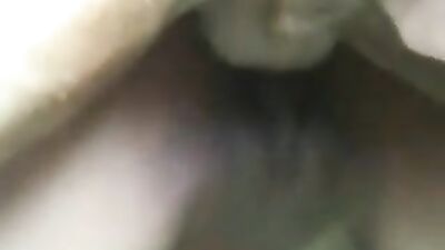 dog cock in teen pussy