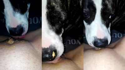 Dog lick teen girlfriend