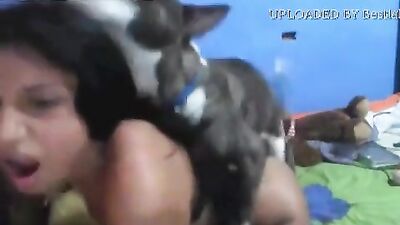 amateur 15