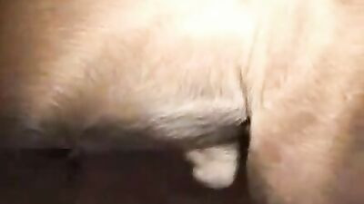 Masturbating with a dog