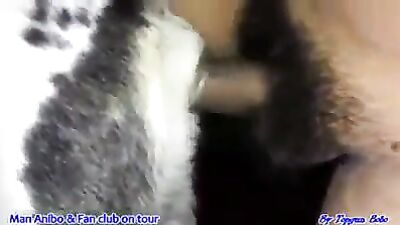 Mann fickt Bitch