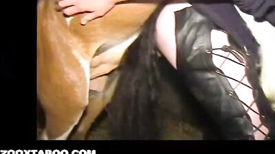 Brutaler Ponyfick