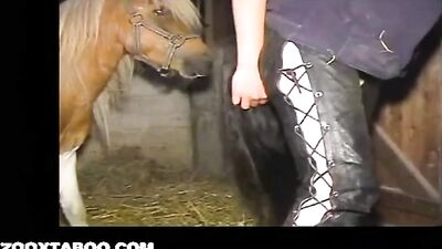 Brutaler Ponyfick