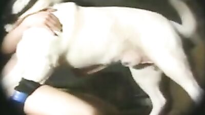 Dog Fuck Quickie