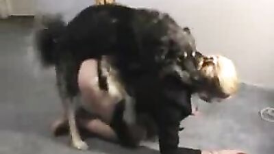 Horse cock handjob by girl