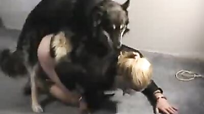 Horse cock handjob by girl