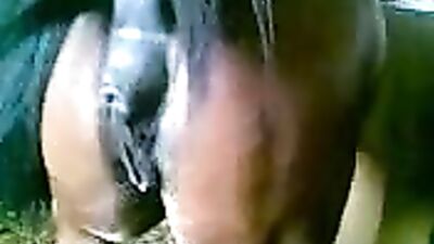 HORSE CUM IN HER PUSSY