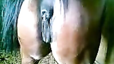 HORSE CUM IN HER PUSSY