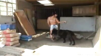 Forbidden Furry Fornication: She Takes On The Hound