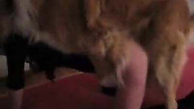 my nasty blonde love sucking dog