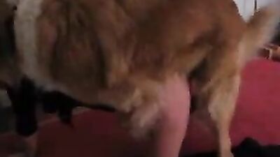 my nasty blonde love sucking dog