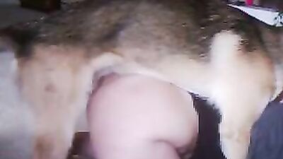 Lick for dogsex
