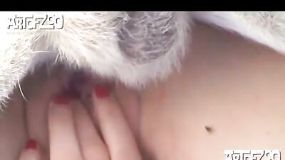 good dog suck