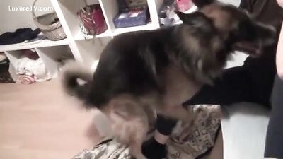 My dog licking me