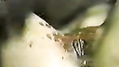 Porn with dog and prostitute matures very