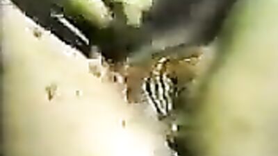 Porn with dog and prostitute matures very