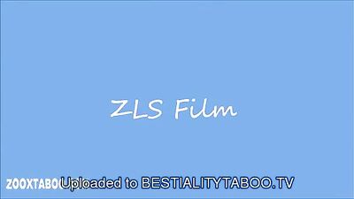 dog doing old lady