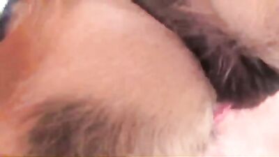 NEW horse sex