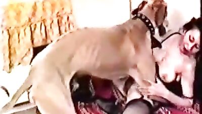 Some fun with dog and friends