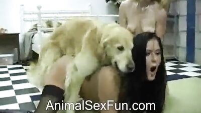 Crazy sex with the dog