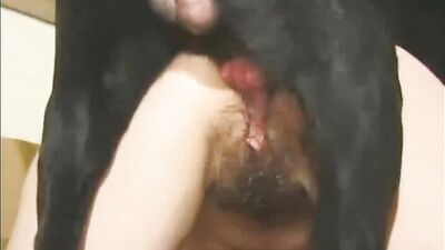 horny dog fuck sexy girl