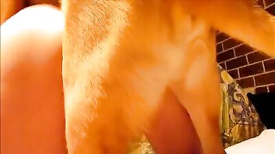 Cat cosplay sex gif
