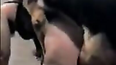 A Pit and His Bitch