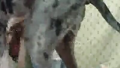 Art Of Zoo Alexa get ger sweet ass and pussy lick then fuck hard