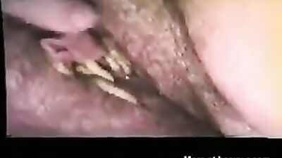Art Of Zoo Sofi get fuck