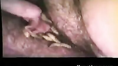 Art Of Zoo Sofi get fuck