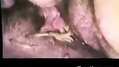 Art Of Zoo Sofi get fuck