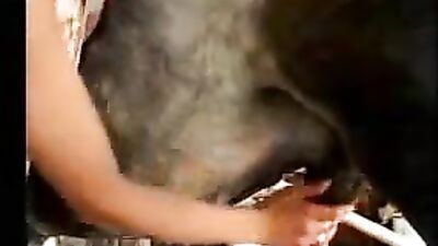 Art of zoo horny pussy need dog cock inside